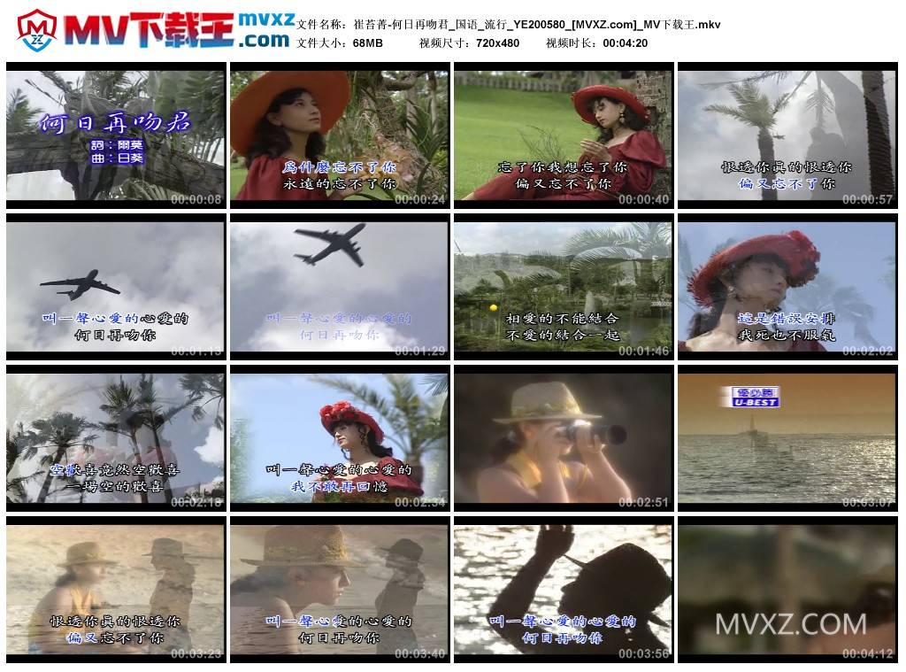 崔苔菁-何日再吻君_国语_流行_YE200580